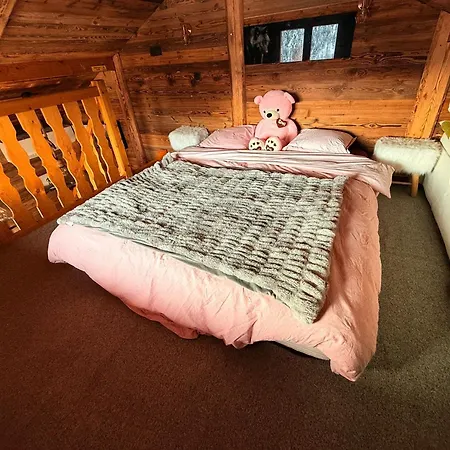 Cosy Vue Montagne Chalet
